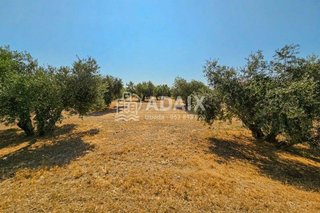 Terreno en venta en Úbeda