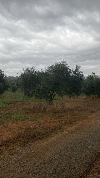 Terreno en venta en Bisbal d´Empordà, La
