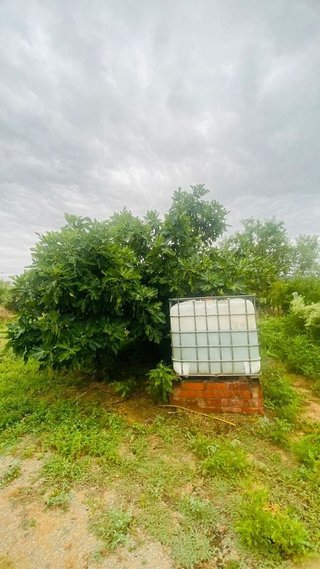 Terreno en venta en Bisbal d´Empordà, La