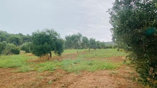 Terreno en venta en Bisbal d´Empordà, La