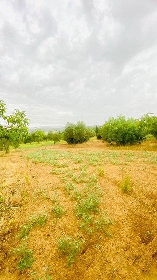 Terreno en venta en Bisbal d´Empordà, La