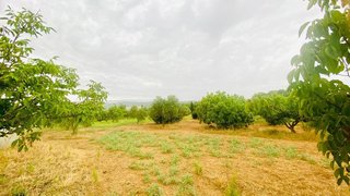Terreno en venta en Bisbal d´Empordà, La