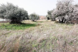 Terreno en venta en Mejorada del Campo