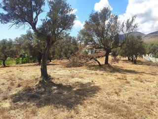 Terreno en venta en El Pinar - Palacio de Congresos en Torremolinos