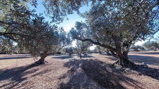 Casa rural en venta en Roquetes