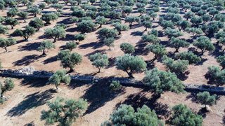 Casa rural en venta en Roquetes