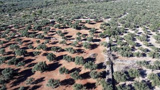 Casa rural en venta en Roquetes