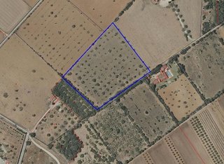 Terreno en venta en Campos