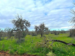 Terreno en venta en Campos
