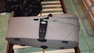 Carro Joie Bebé Capazo + Silla Reversible