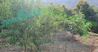 Casa rural en venta en Orxeta