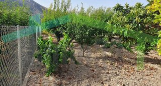Casa rural en venta en Orxeta