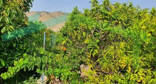 Casa rural en venta en Orxeta