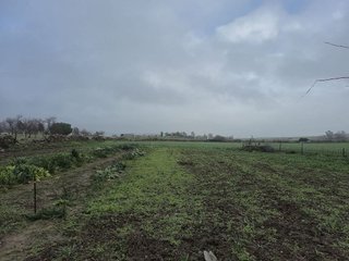 Terreno en venta en Azuaga