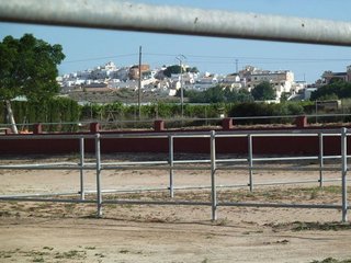 Casa rural en venta en San Miguel de Salinas