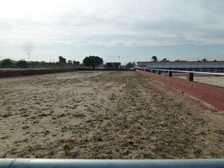 Casa rural en venta en San Miguel de Salinas