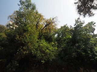 Terreno en venta en Port Esportiu - Puig Rom - Canyelles en Roses