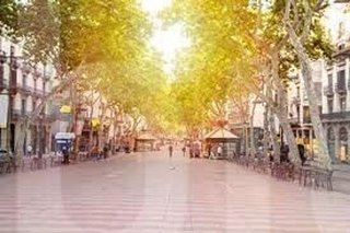 Local comercial en venta en El Gòtic en Barcelona