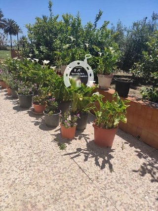 Casa en venta en Las Bayas en Elche