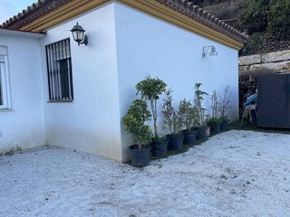 Casa rural en venta en Zona Norte en Estepona