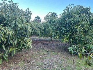 Casa rural en venta en Zona Norte en Estepona