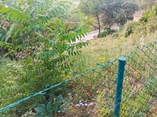 Terreno en venta en Abrera