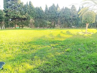 Piso en venta en Playamar en Torremolinos