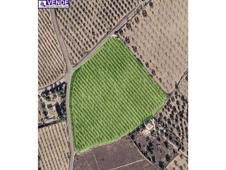 Terreno en venta en Sax