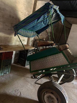 Carro de caballo con toldo