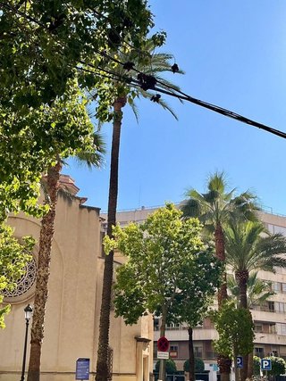Garaje en venta en Pont Nou - Corazón de Jesús en Elche