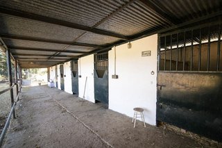 Chalet en venta en Puebla del Río (La)