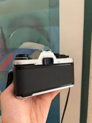 Olympus OM10 + Objetivo Zuiko cámara analógica