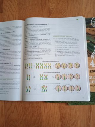 Libro d texto Biología e xeoloxia 4° ESO ANAYA