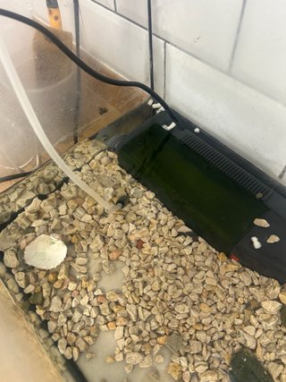 Acuario/Terrario de cristal
