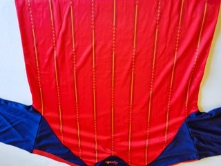 Camiseta Talla L Roja y Azul