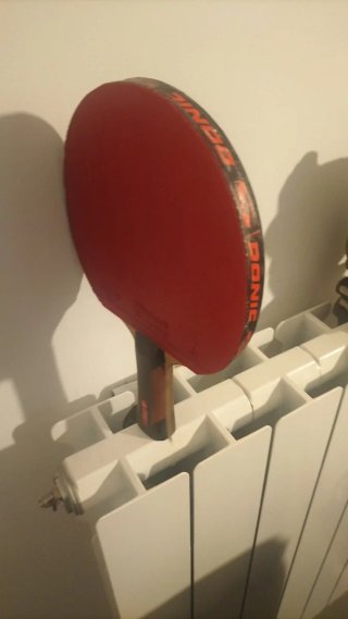 Pala de ping pong Donic