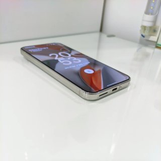 Google Pixel 9 Pro XL Gris/Blanco