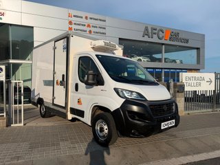 Fiat Ducato C.Cabina Maxi 35 L4 2.3 1FA (103 kW)