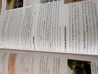 Lengua castellana y literatura 1, Le Bachillerato