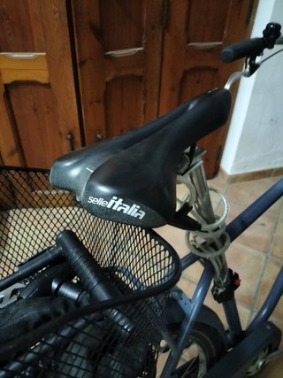 Bicicleta Elops gris con cesta