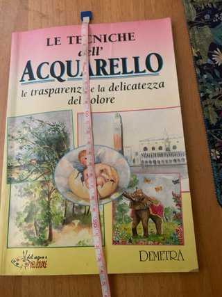 Le tecniche dell'acquarello le trasparenze e la...
