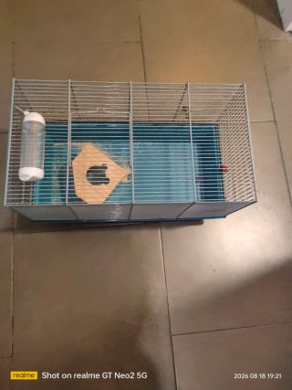 Jaula Hámster Nueva Accesorios Incluidos