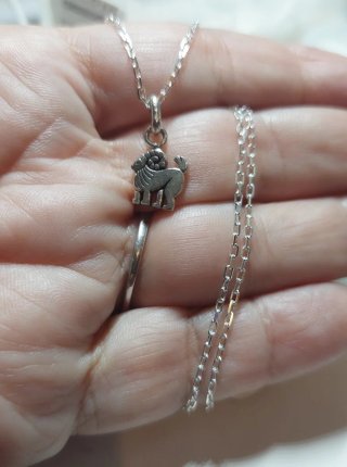 Cadena y Colgante de Plata de Ley