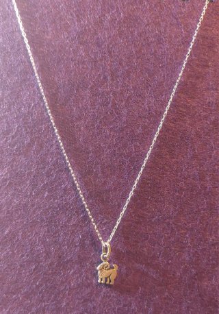 Cadena y Colgante de Plata de Ley