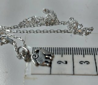 Cadena y Colgante de Plata de Ley