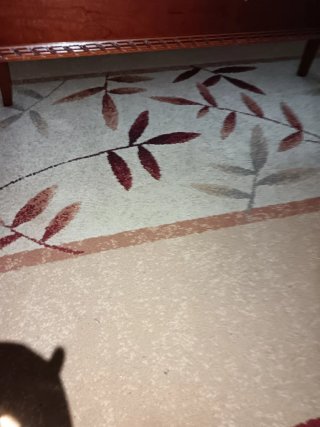 Alfombra salón mostaza y burdeos
