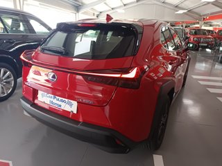 Lexus UX 2.0 250H BUSINESS 184CV