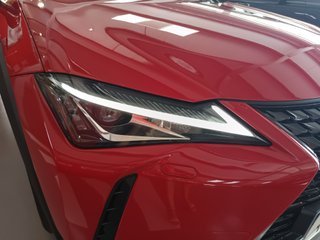 Lexus UX 2.0 250H BUSINESS 184CV