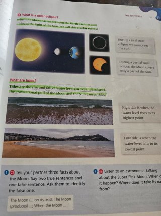 Social Science, 4 Primary, Outside the Box, ByMe