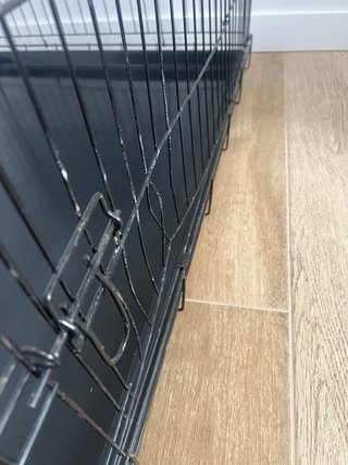 Jaula plegable Perro Dapac Rejilla Mediana